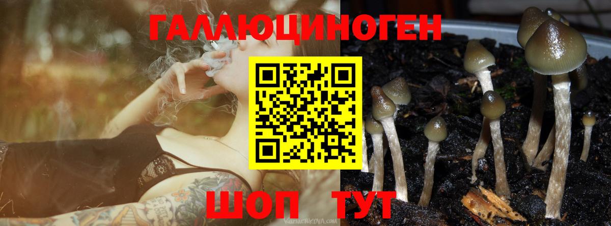 Псилоцибиновые грибы прущие грибы Иваново